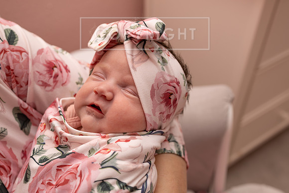 4Z8A5446