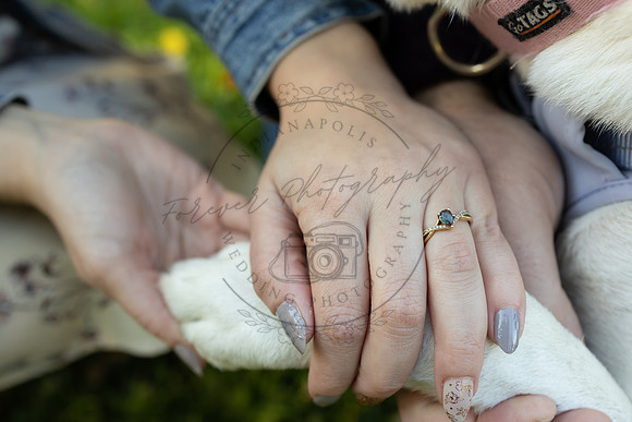 4Z8A8882